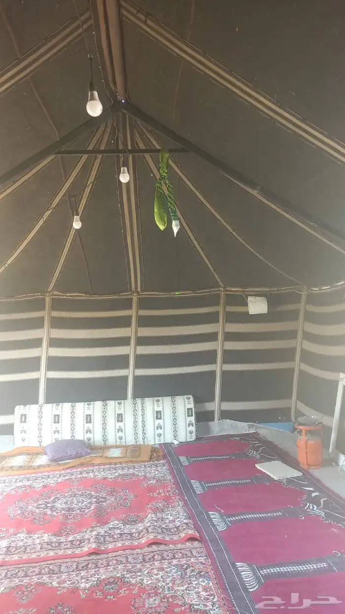 للبيع بيت شعر 6 في 4 1