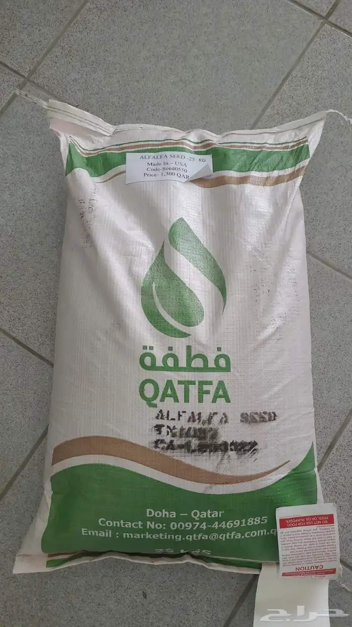 بذور برسيم 101 0