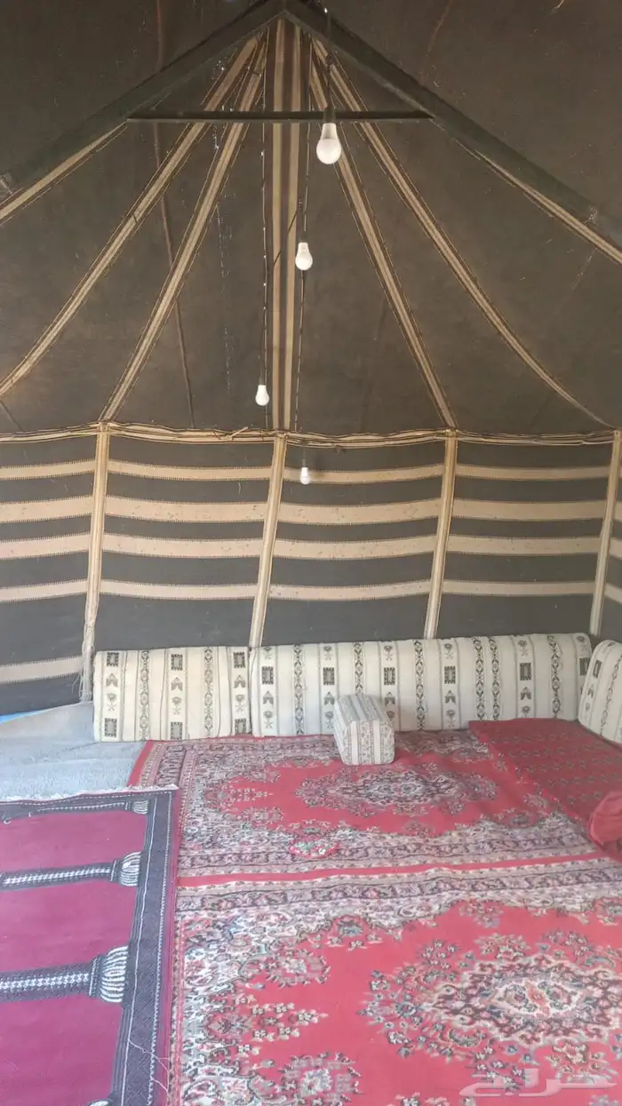 للبيع بيت شعر 6 في 4 2