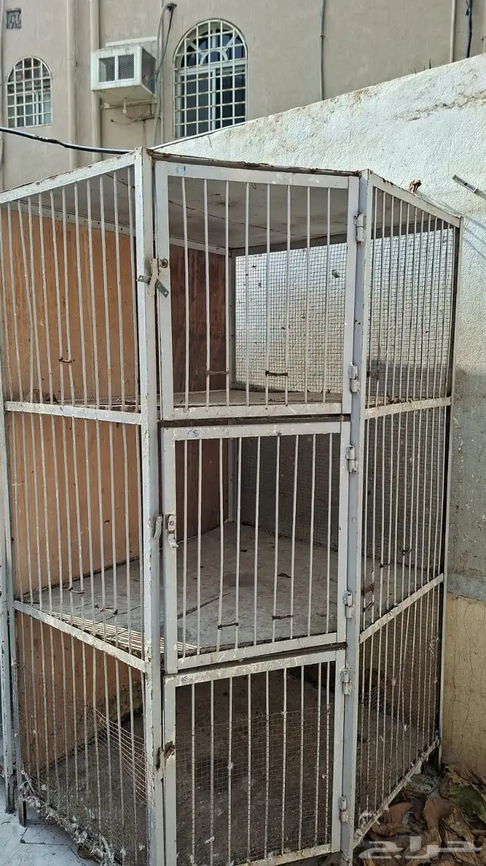 اقفاص حمام 2