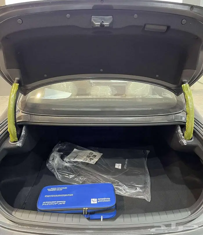 سوناتا فليت ستاندر 2026 7