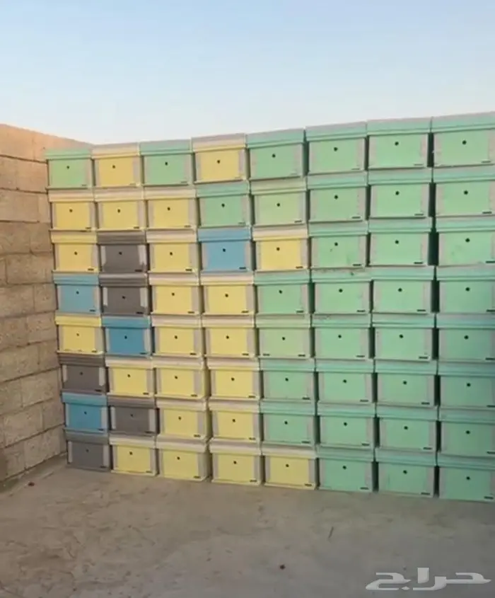 خلايا افرنجي جديد 0