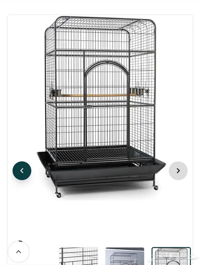 قفص طيور كبيرة أمريكي 1