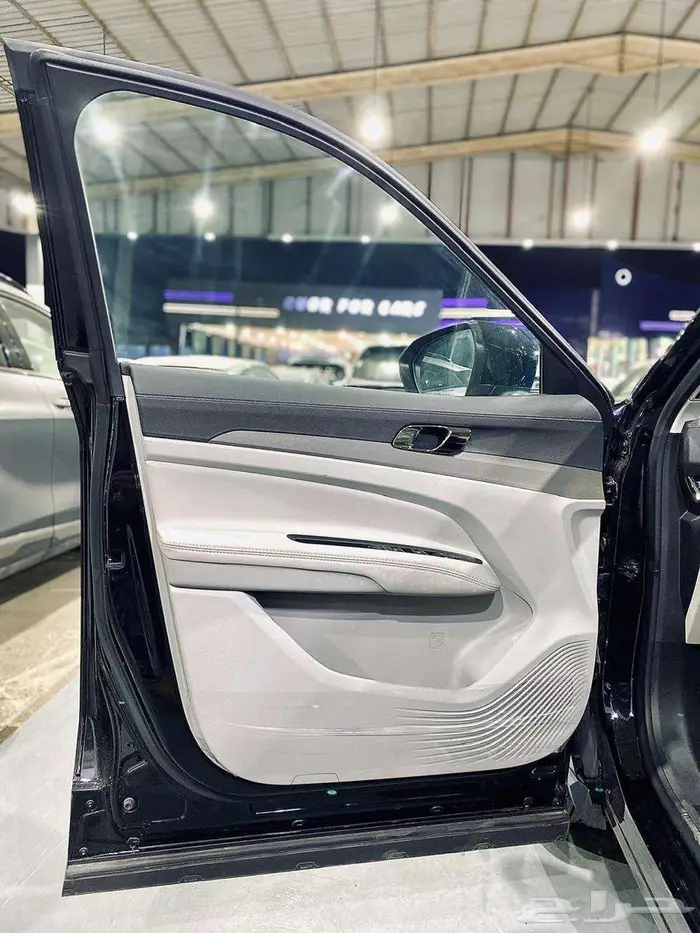 فورد تيريتورى ترند موديل 2025 8