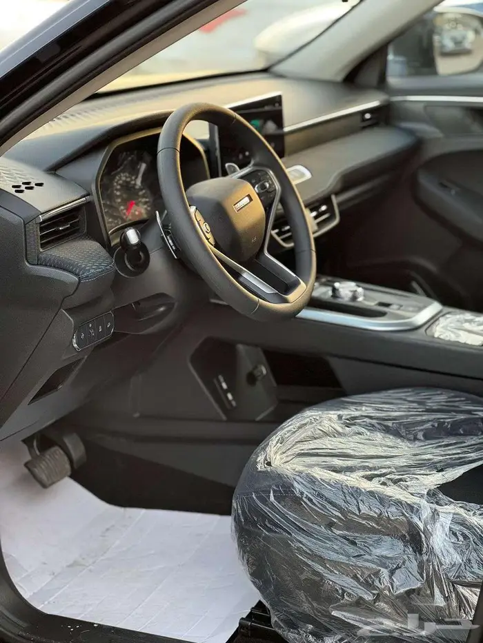 هافال جوليان استاندر موديل 2025 5