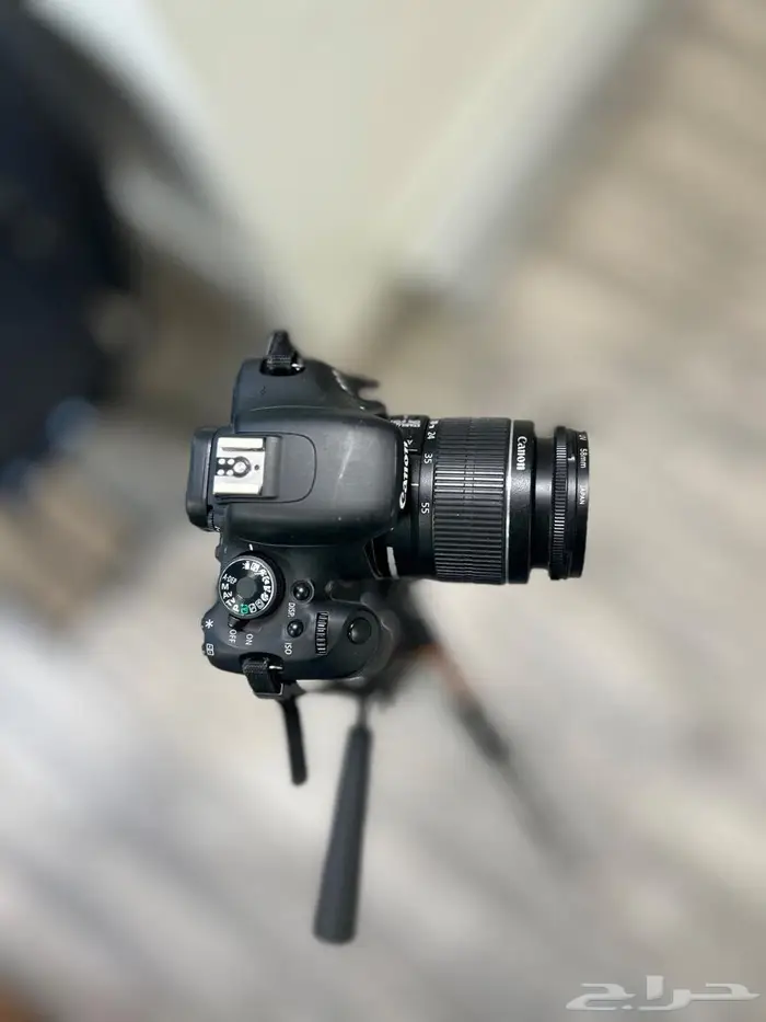 كاميرا canonD600 مع استاند مستخدم نظيف جدا 2