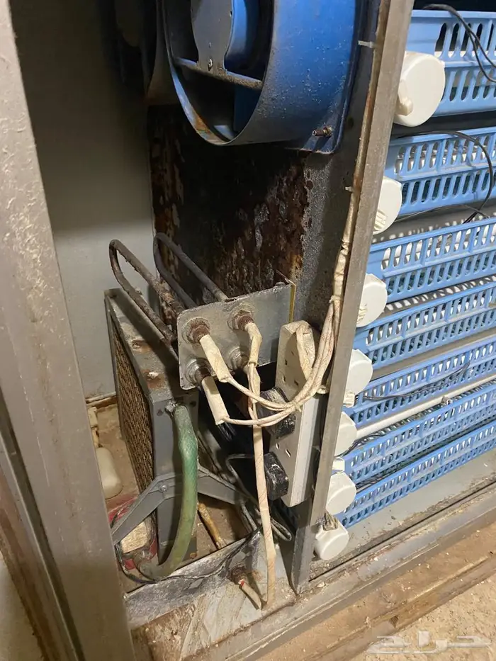 فقاسة أوتوماتيكي 2