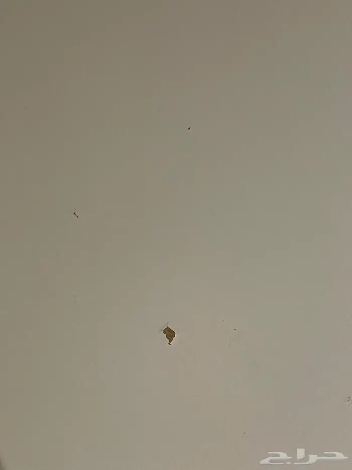 طاولة تلفزيون من ايكيا 0