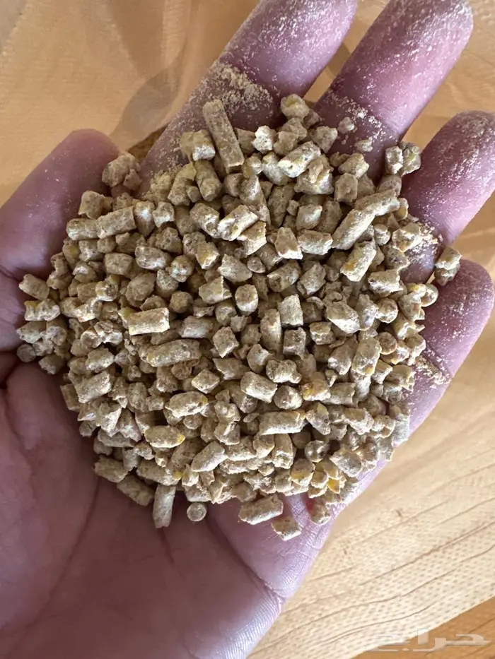 علف دواجن 21 0