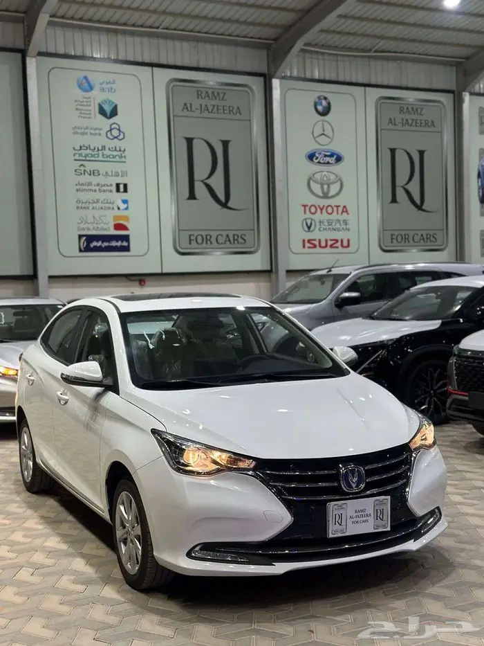 شانجان السفن فل 2025 وكيل المجدوعي 3