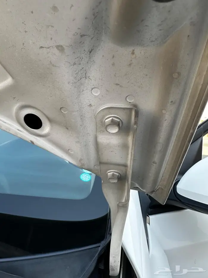 اكسنت مكينه كبيره 10