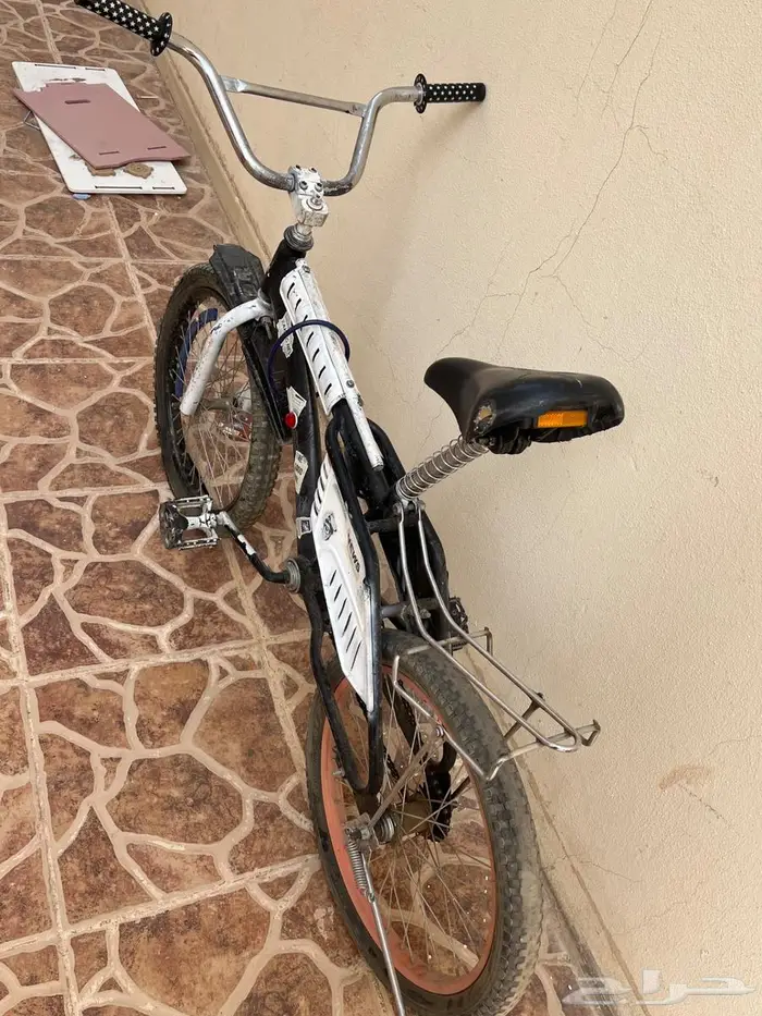 رامبو مقاس 20 للبيع 2