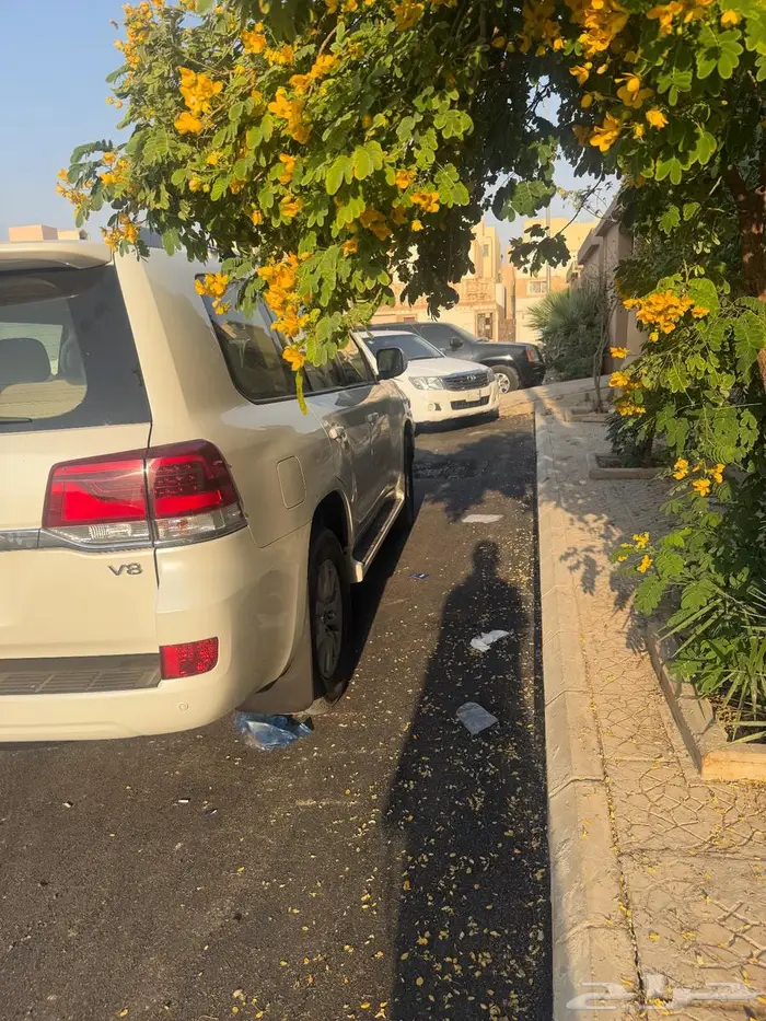لاندكروزر 2019 جي اكس ار ديزل بدي ومحركات وكاله 7