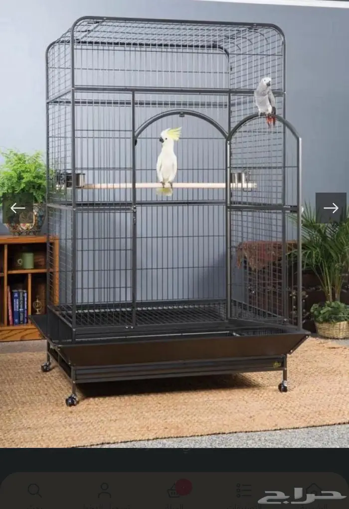 قفص طيور كبيرة أمريكي 0