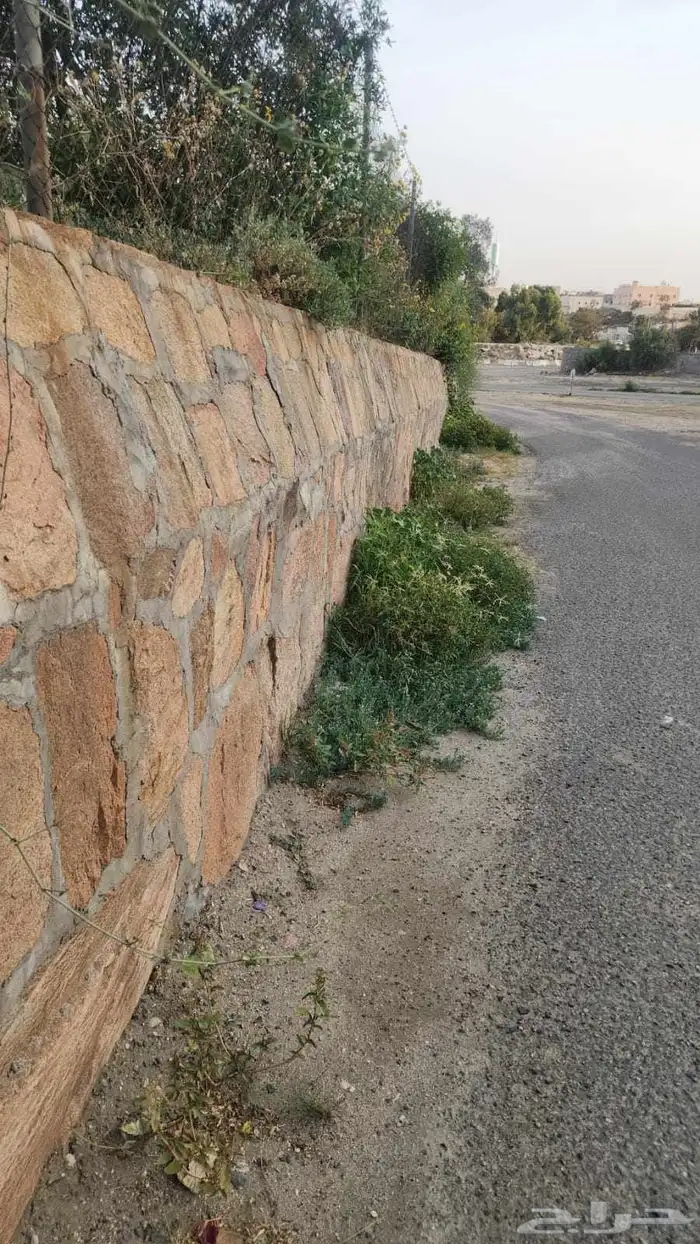 يوجد بكلين لبنيان الحجر ورب راب وقص ارضي 0