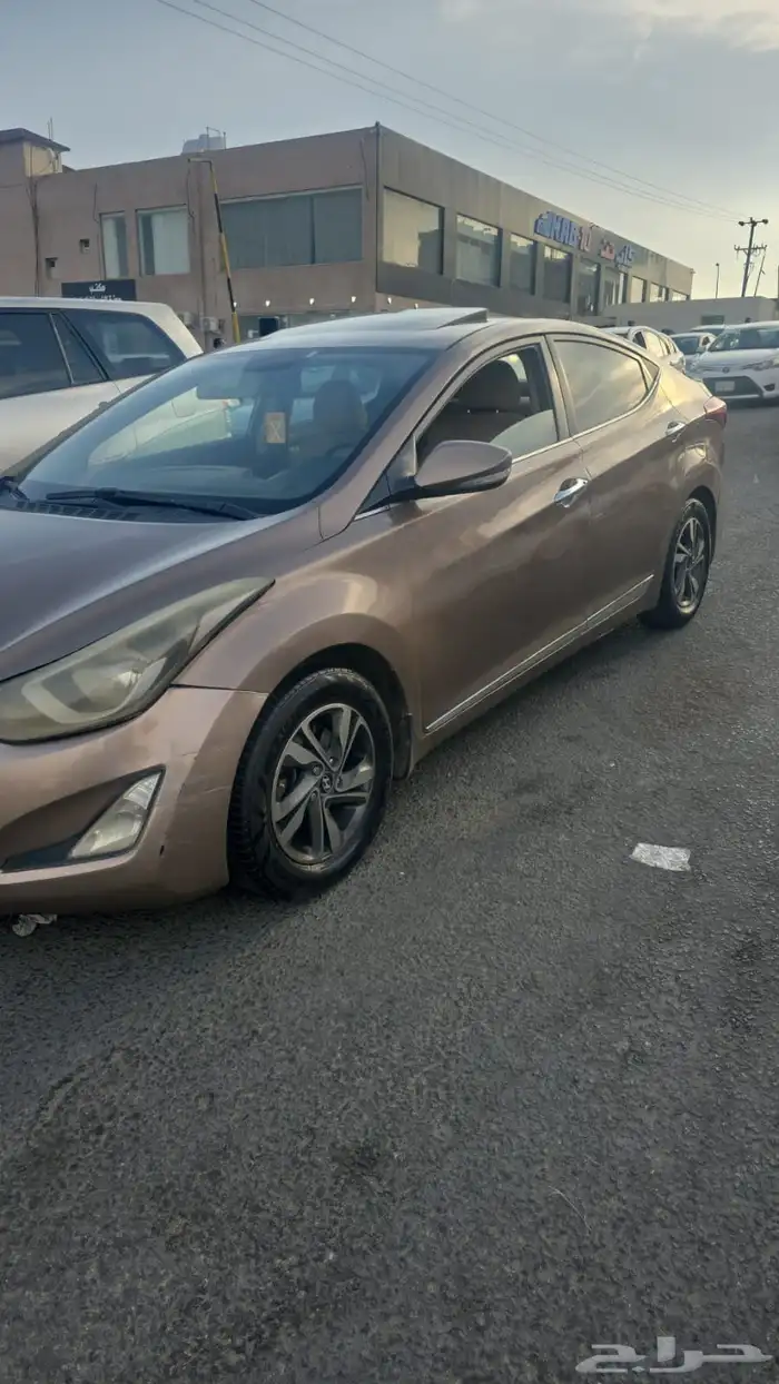 النتراء 2015 للبيع 2