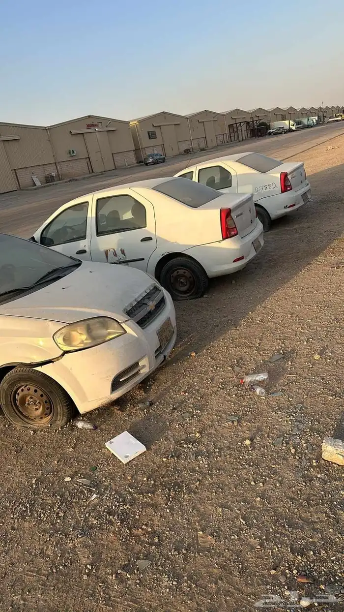 افيو 2011 ورينو لوغان 2012 1