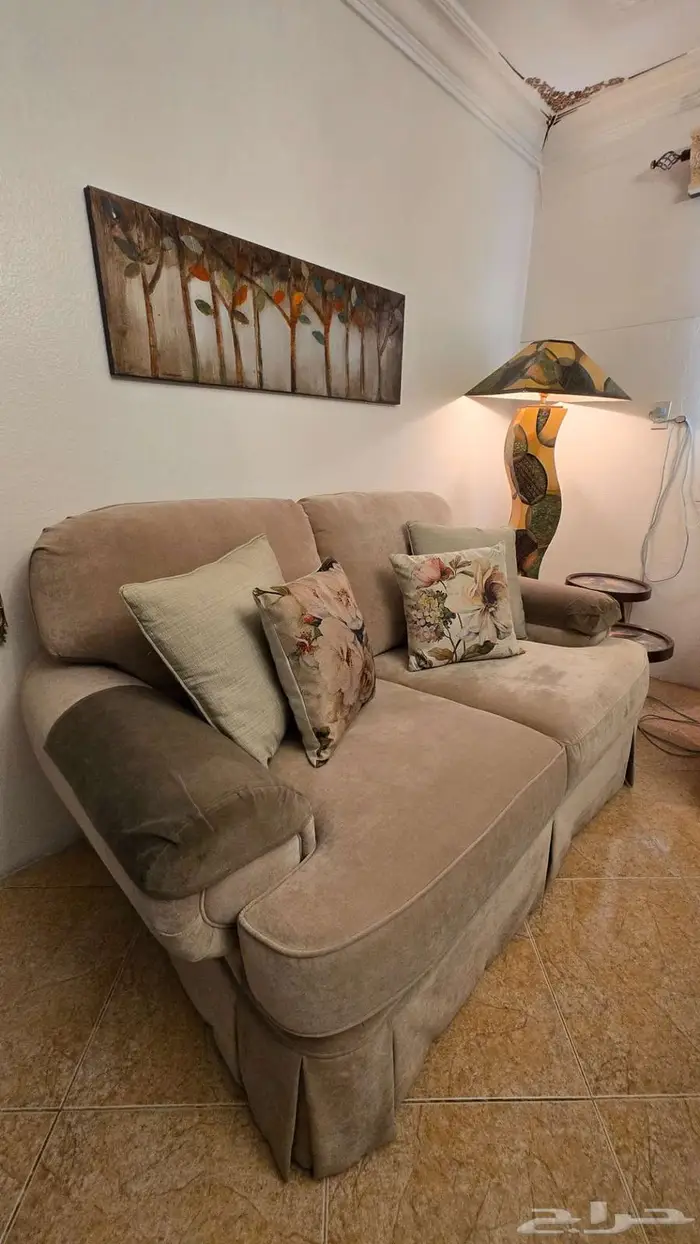 طقم كنب امريكي لون بيج 2