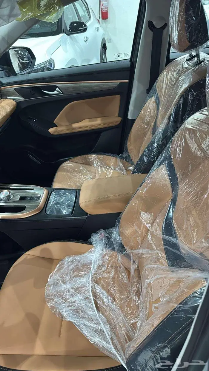 هافال جوليان برو موديل 2025 كاش - بنك 9