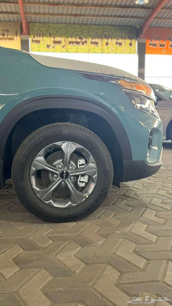 سيلتوس ستاندرد مطور 3