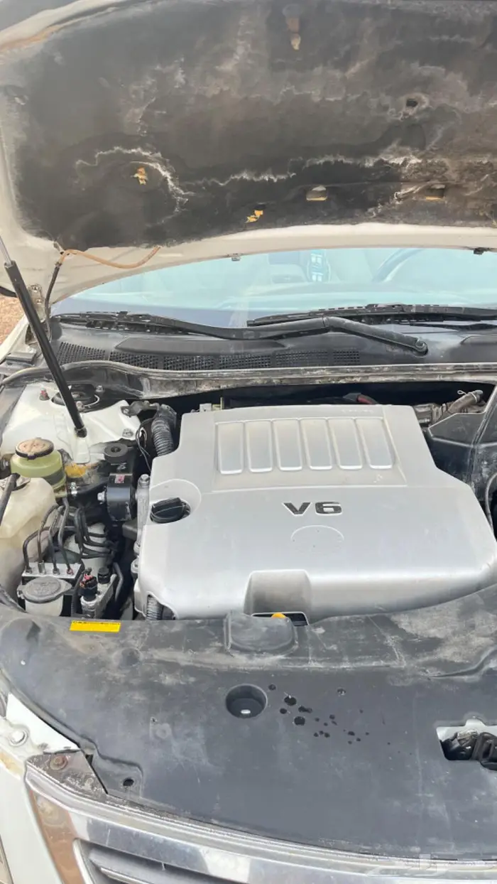 اوريون 2010 15