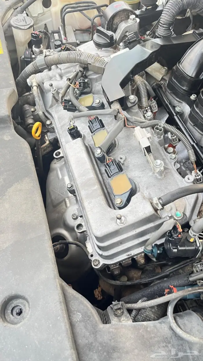 اوريون 2010 18