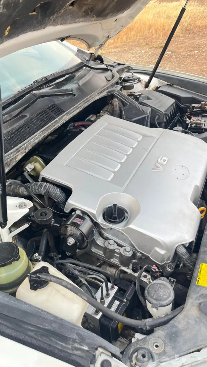 اوريون 2010 16