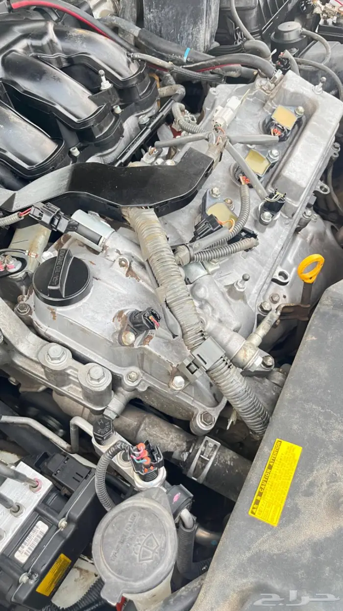 اوريون 2010 17