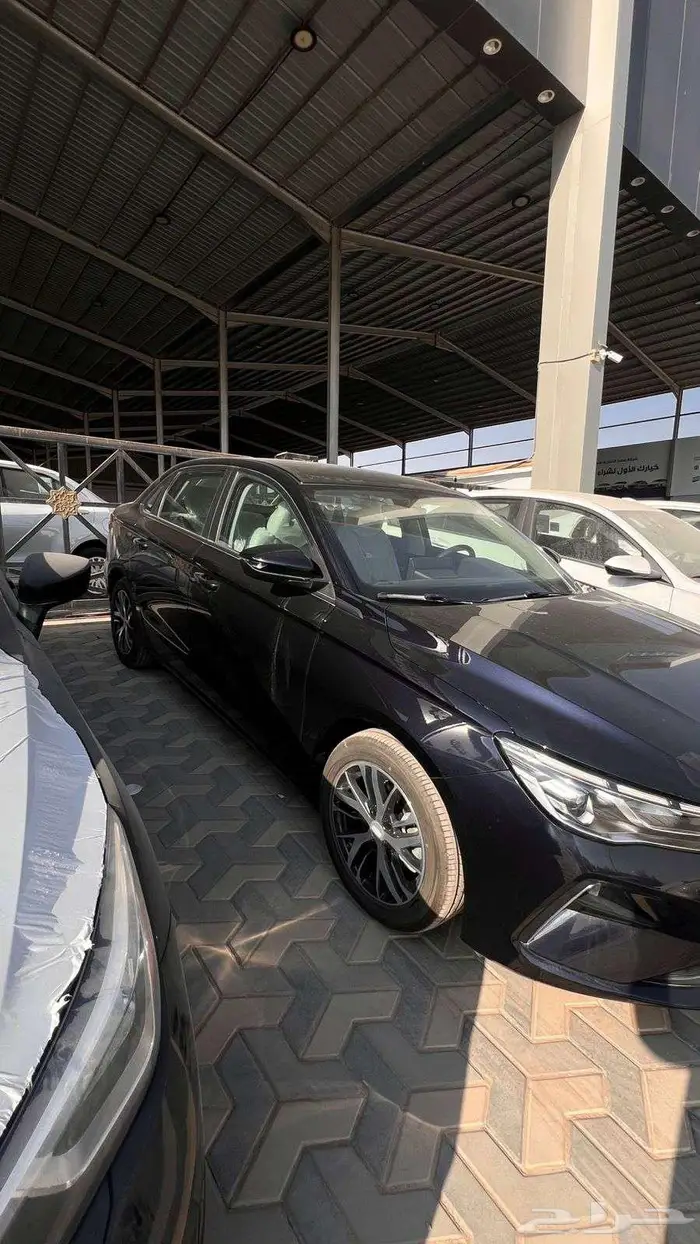 يلي ام جراند 2025 3