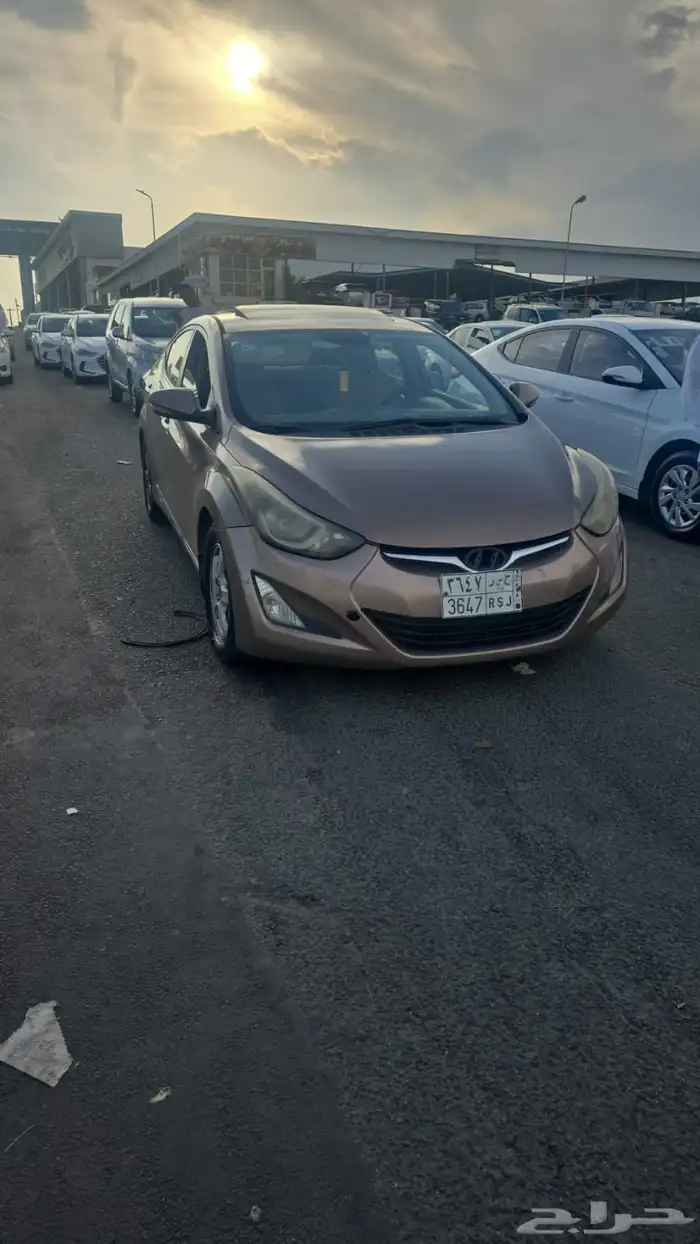 النتراء 2015 للبيع 3