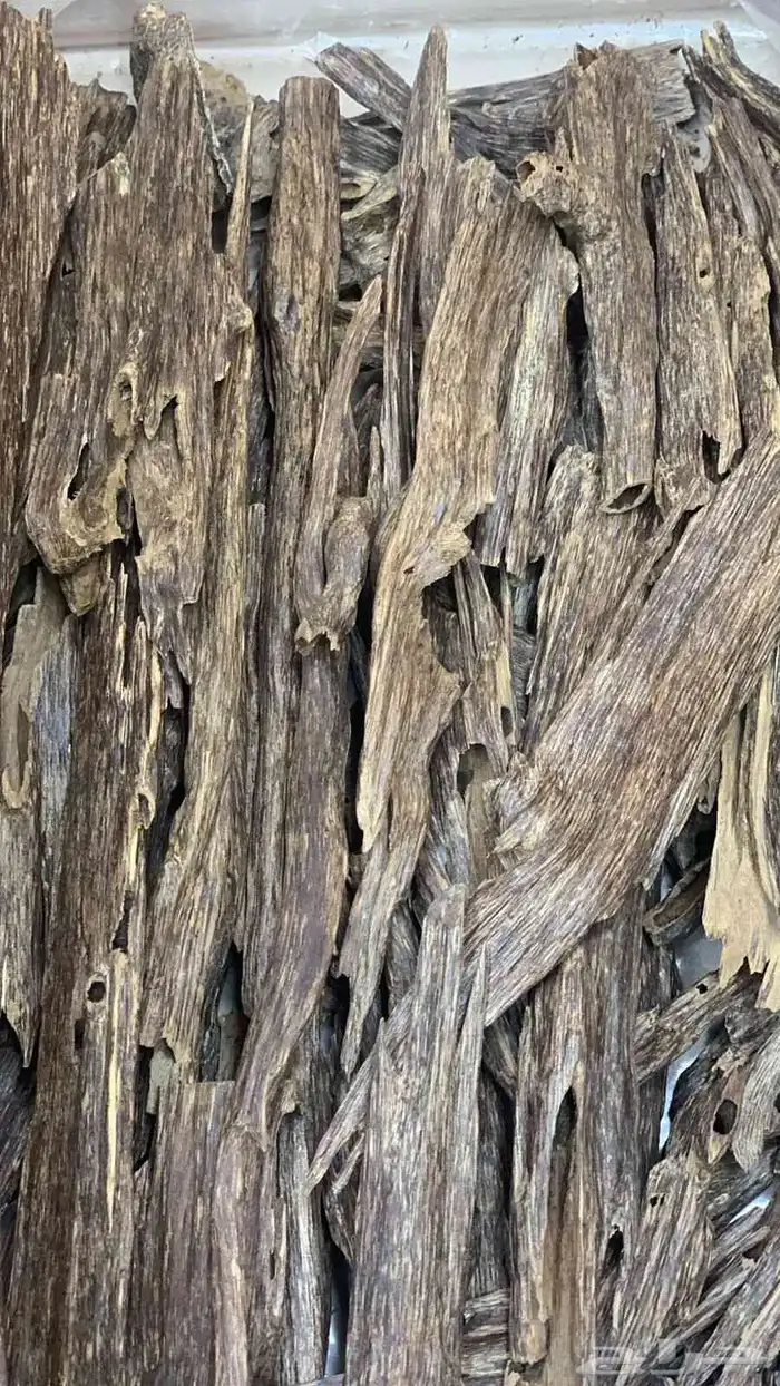 عرض عود هندي نقلند فاخر 0