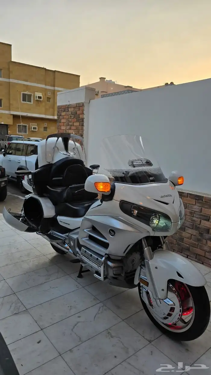 قولد وينق لفل 3 1