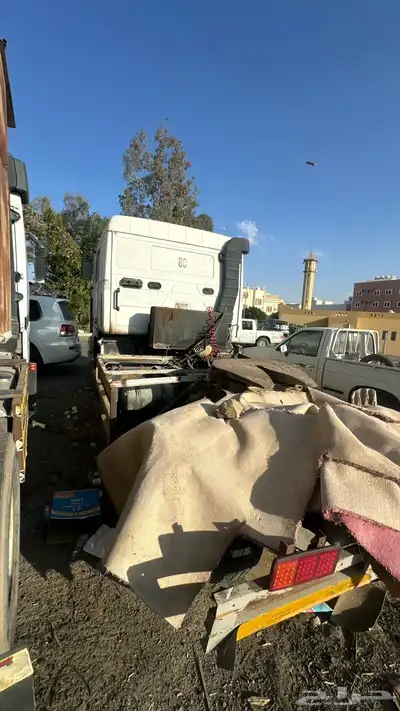 راس فلفو index