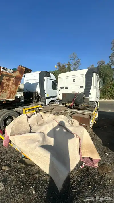 راس فلفو index