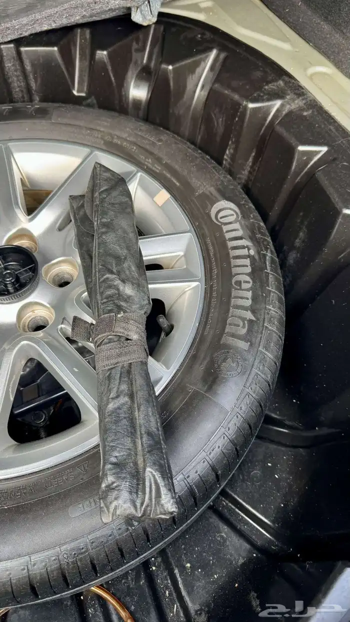 كابرس 2013 ممشى قليل 11