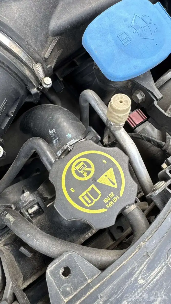 كابرس 2013 ممشى قليل 20