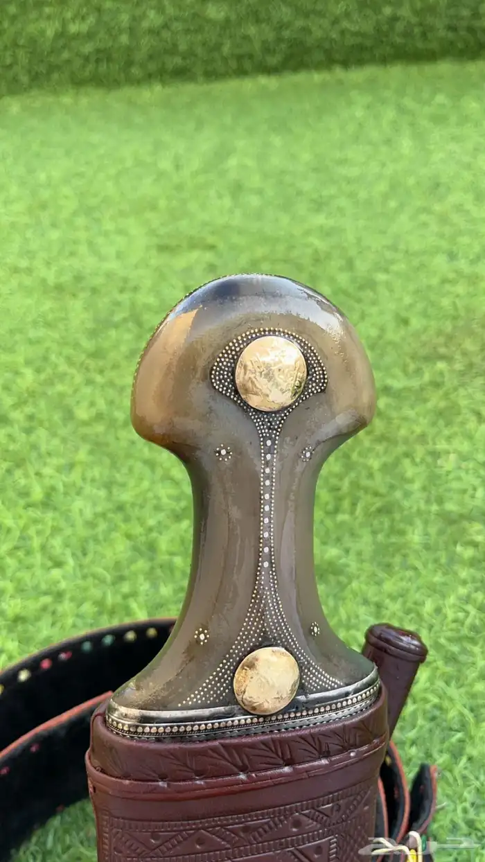 جنبيه قرن فاخره 10