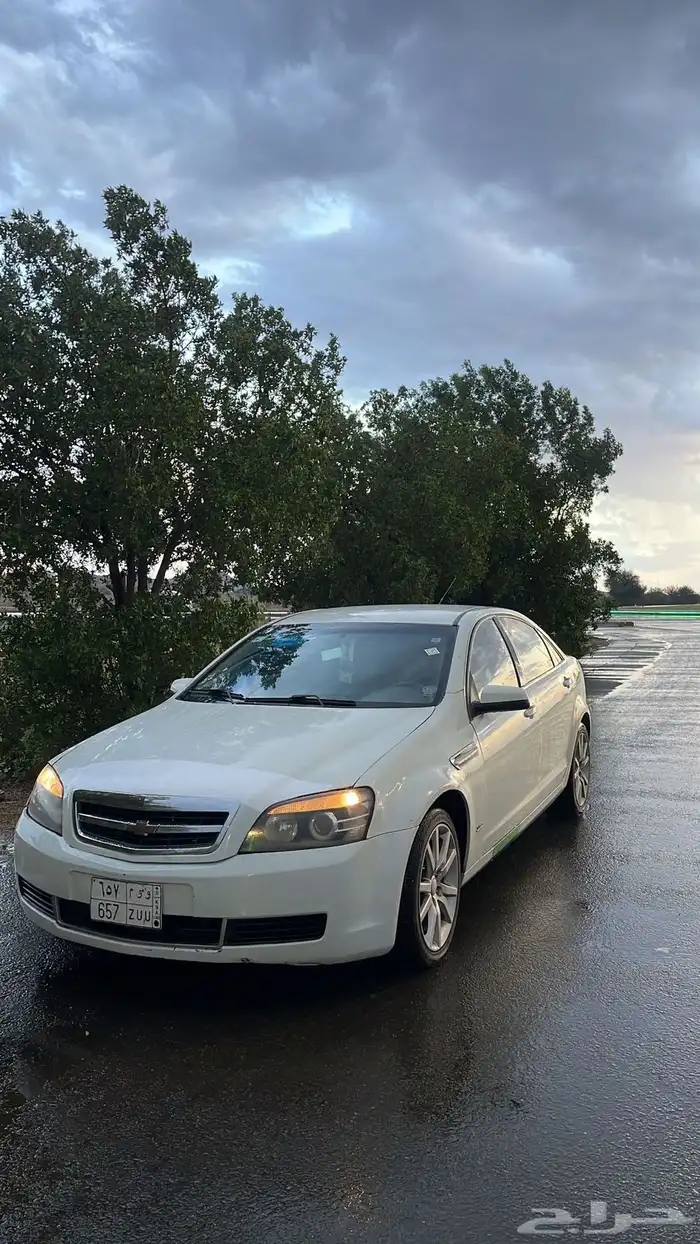 كابرس 2009 مرهم 2013 0