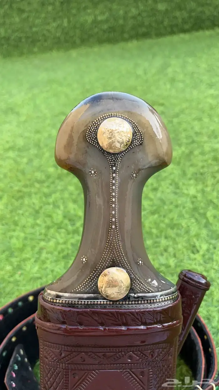 جنبيه قرن فاخره 6