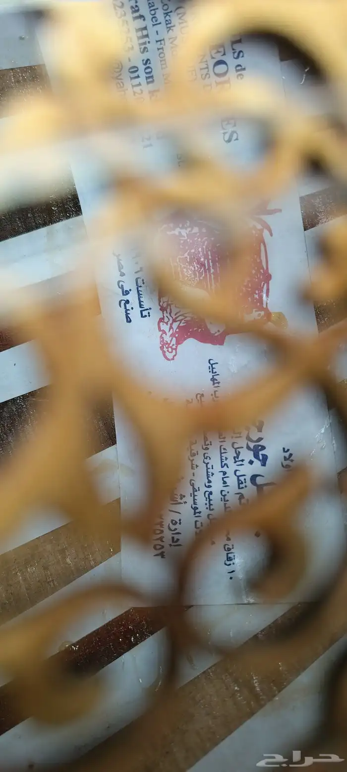 عود موسيقي 3