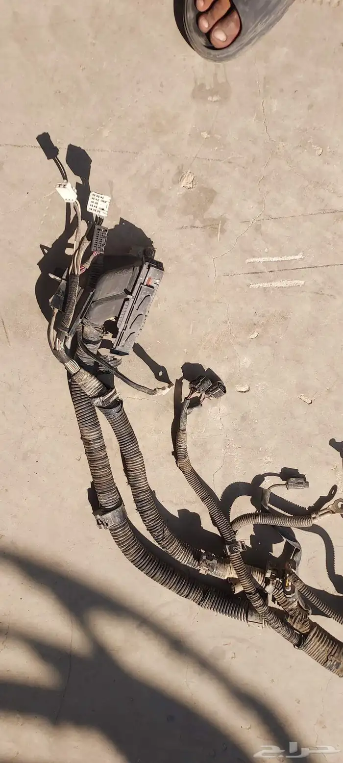 ظفيرة مكينه كامري وكمبيوتر مكينه كامري 2