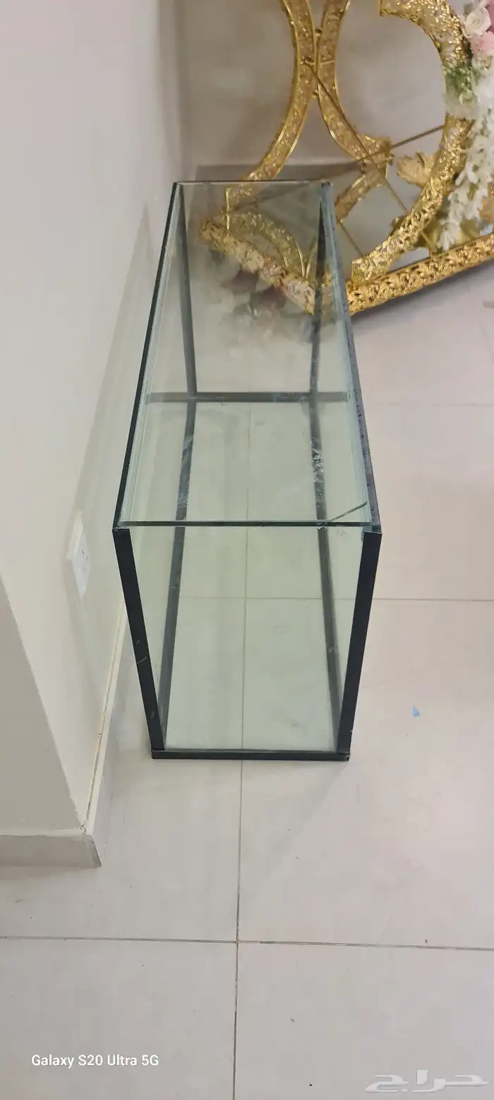 حوض سمك كبير 3