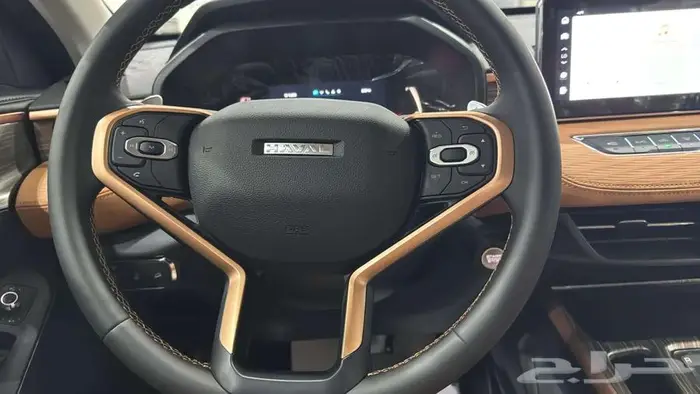 هافال جوليان برو موديل 2025 كاش - بنك 7