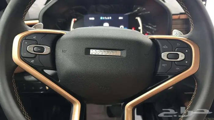 هافال جوليان برو موديل 2025 كاش - بنك 14