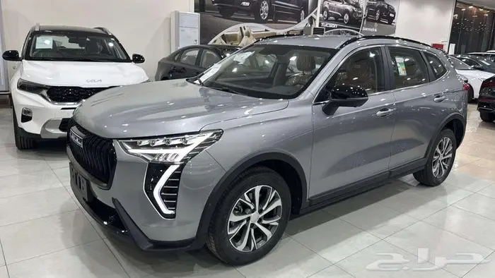 هافال جوليان برو موديل 2025 كاش - بنك 2