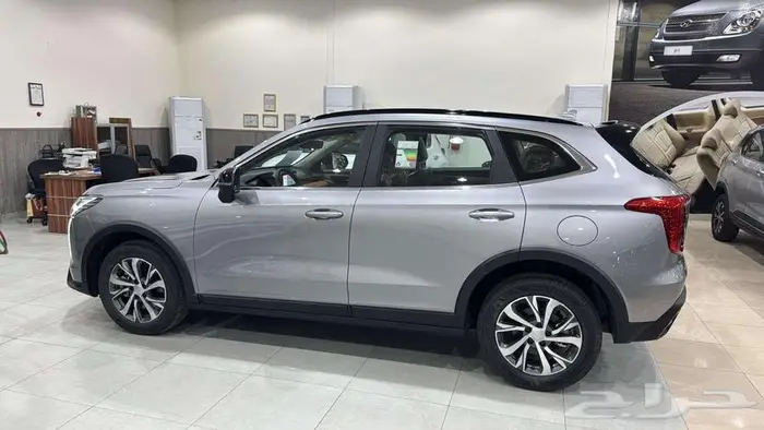 هافال جوليان برو موديل 2025 كاش - بنك 3