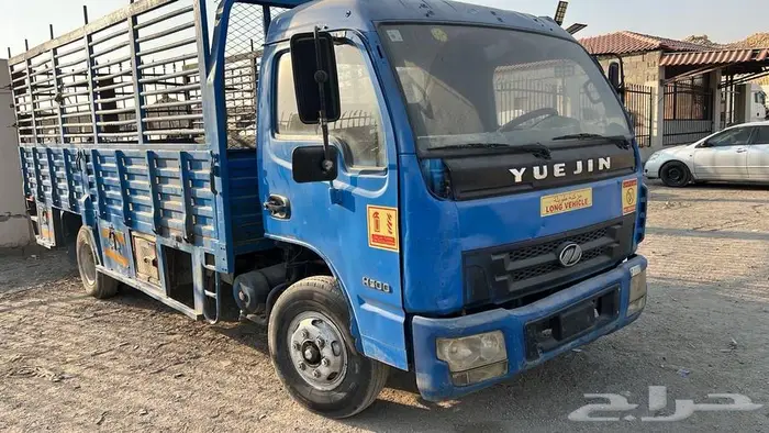 دينا يوجين 0