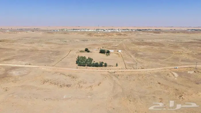 مزرعة للبيع بحائل الهيلا 11