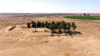 مزرعة للبيع بحائل الهيلا index