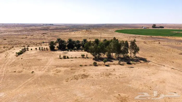 مزرعة للبيع بحائل الهيلا 2